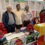 Footer Primary Without Banner