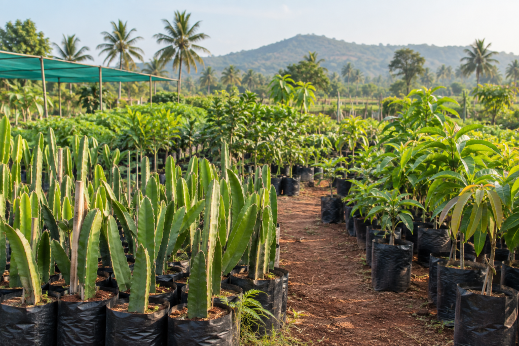 Exotic fruit planting material and nursery plants in Karnataka
