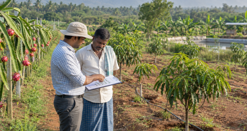 Exotic fruit farm consultation and plantation planning in Karnataka